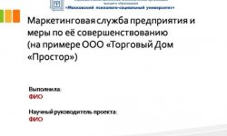 Дипломная презентация по маркетингу