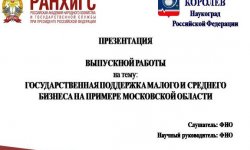 Дипломная презентация по государственной поддержке бизнеса
