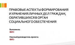 Дипломная презентация по социальной работе