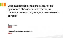 Дипломная презентация по управлению в таможенных органах