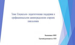 Дипломная презентация по социально-педагогической поддержке