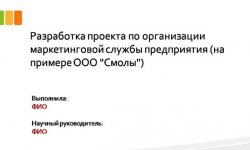 Дипломная презентация по организации маркетинговой службы