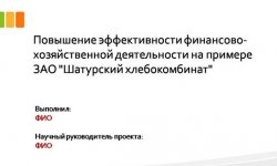 Дипломная презентация по финансово-хозяйственной деятельности
