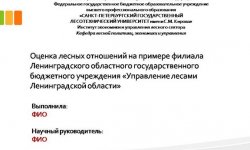 Дипломная презентация по лесным отношениям