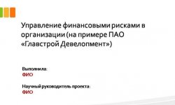 Дипломная презентация по управлению рисками