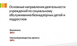 Дипломная презентация по социальному обслуживанию