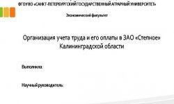 Дипломная презентация по учету труда