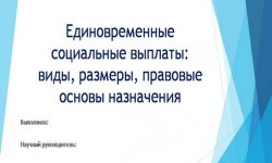 Дипломная презентация по единовременным социальным выплатам