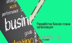 Дипломная презентация по разработке бизнес-плана организации