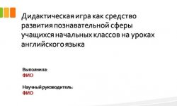 Дипломная презентация по дидактической игре