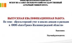 Дипломная презентация по анализу доходов и расходов