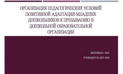 Дипломная презентация по позитивной адаптации дошкольников