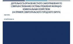 Дипломная презентация по деятельности органов местного самоуправления