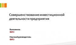 Дипломная презентация по инвестиционной деятельности