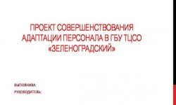 Дипломная презентация по адаптации персонала