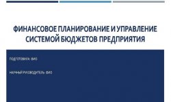 Дипломная презентация по финансовому планированию
