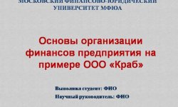 Дипломная презентация по организации финансов