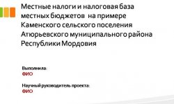 Дипломная презентация по налогам