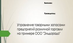 Дипломная презентация по товарным запасам