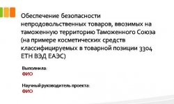 Дипломная презентация по непродовольственным товарам