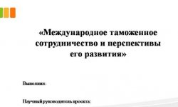 Дипломная презентация по таможенному сотрудничеству