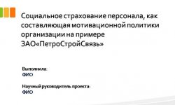 Дипломная презентация по социальное страхование