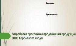 Дипломная презентация по продвижению продукции