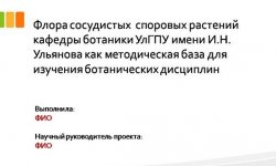 Дипломная презентация по ботанике