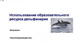 Дипломная презентация по образовательному ресурсу дельфинария
