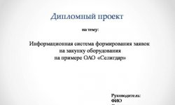 Дипломная презентация по информационным системам