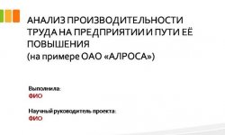 Дипломная презентация по производительности труда