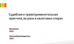 Дипломная презентация по судебной практике
