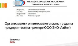 Дипломная презентация по оплате труда