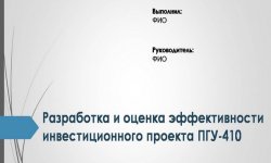 Дипломная презентация по инвестиционному проекту
