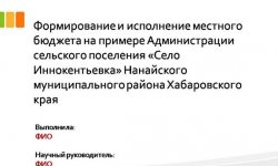 Дипломная презентация по местному бюджету