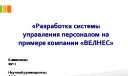 Дипломная презентация по системе управления персоналом