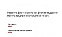 Дипломная презентация по франчайзингу
