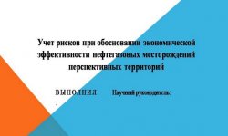 Дипломная презентация по учету рисков