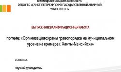 Дипломная презентация по охране правопорядка