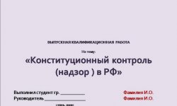 Дипломная презентация по конституционному контролю
