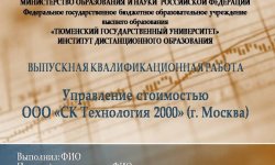 Дипломная презентация по управлению стоимостью