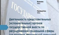 Дипломная презентация по деятельности исполнительных органов