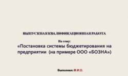 Дипломная презентация по системе бюджетирования