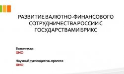 Дипломная презентация по брикс