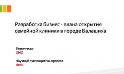 Дипломная презентация по разработке бизнес-плана