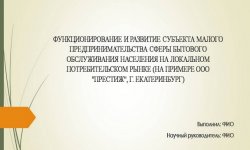 Дипломная презентация по субъекту малого предпринимательства