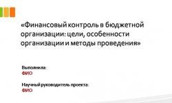 Дипломная презентация по финансовому контролю