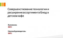 Дипломная презентация по расширению ассортимента
