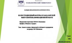 Дипломная презентация по финансовой устойчивости предприятия